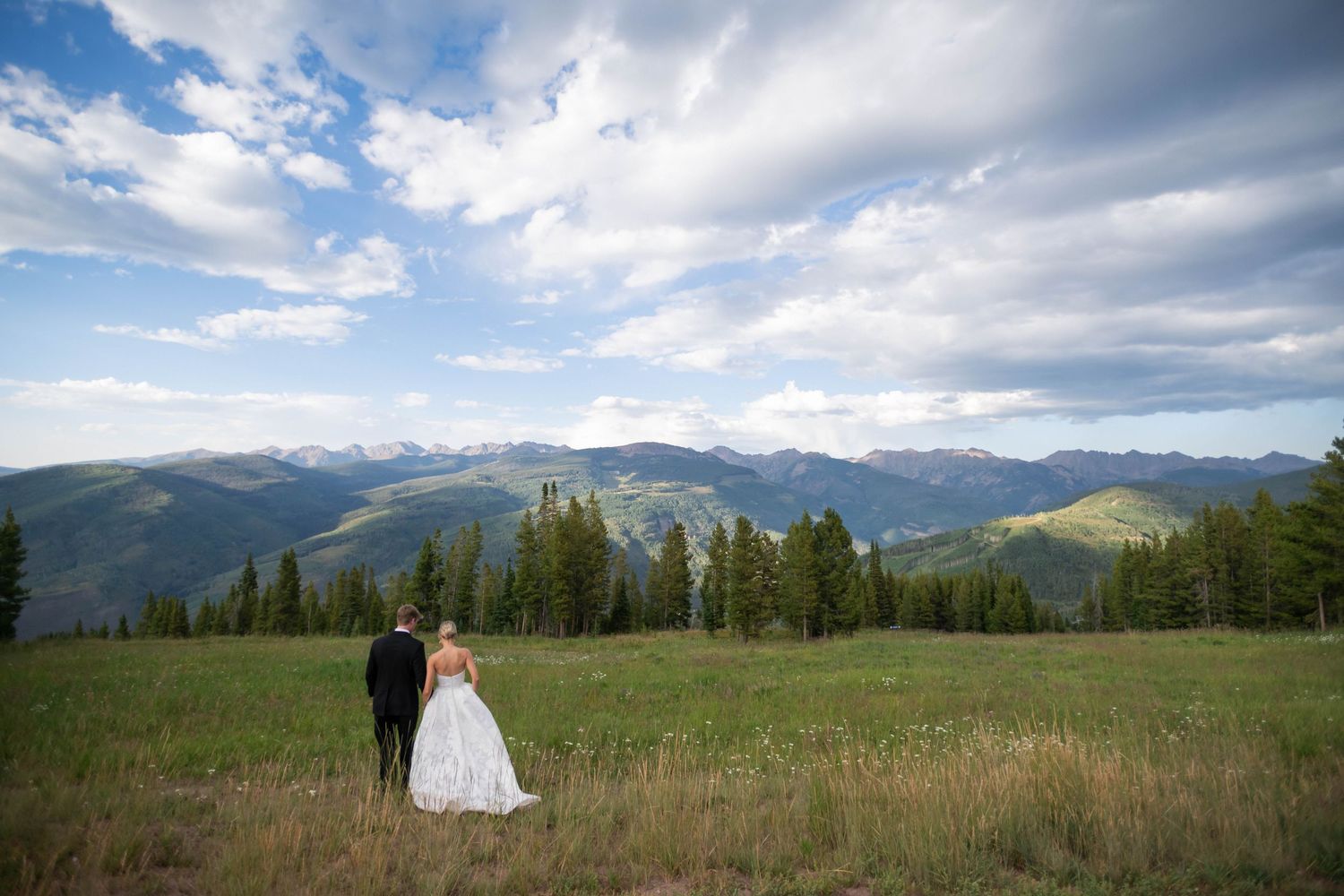 Panoramic view of a mountain meadow with distant peaks under blue summer skies.