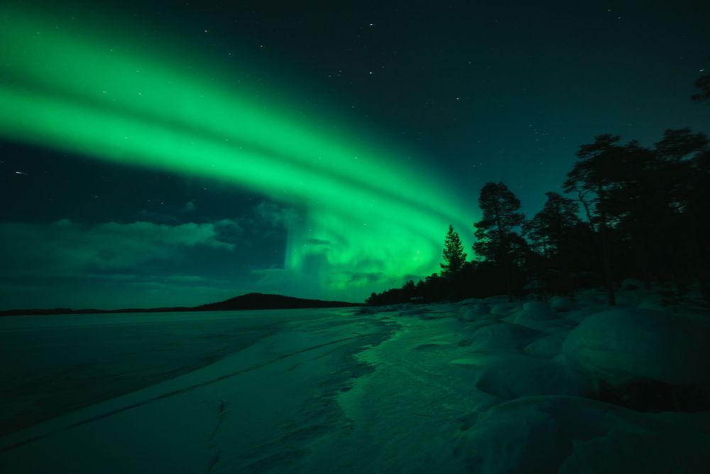 Vibrant green aurora borealis dances across a dark night sky over a silhouetted treeline and lake landscape.
