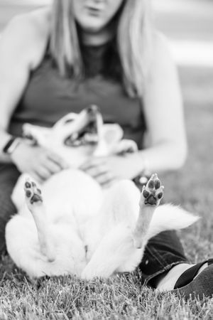 A white cat lies on grass while being petted, shown from multiple angles in a black and white photo series.