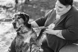 A brindle dog gets a grooming treatment outdoors with a brush while comfortably sitting next to someone.