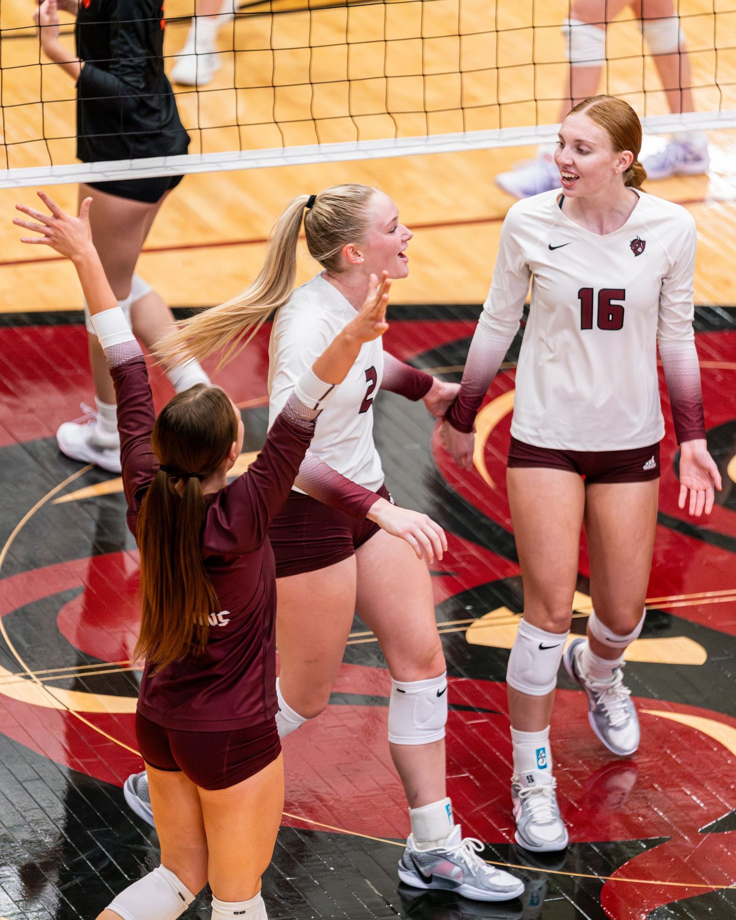 A group of volleyball players celebrate victory on the court with enthusiastic gestures and high-fives.