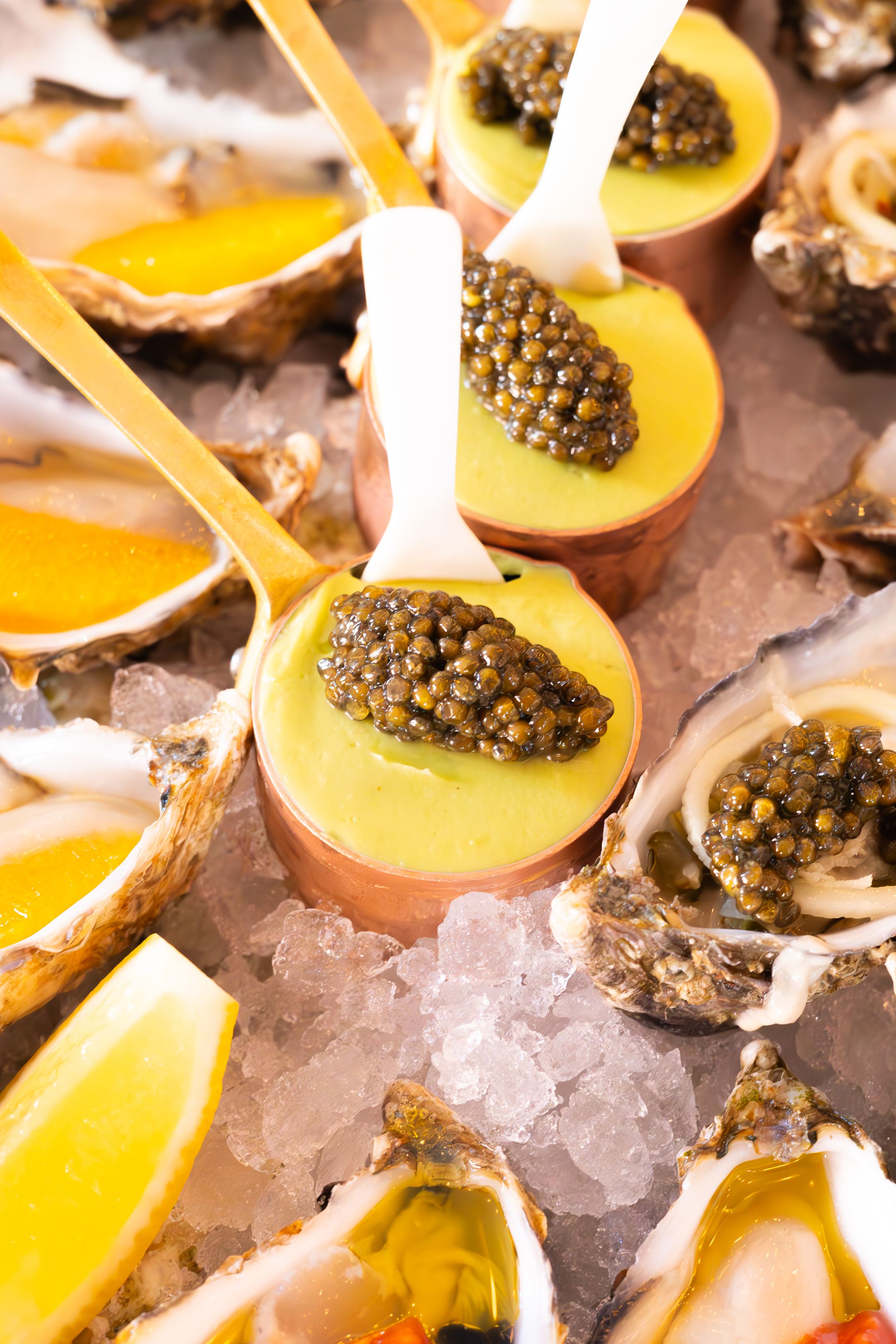 Elegant appetizers featuring bright orange citrus slices topped with caviar arranged on a bed of crushed ice.