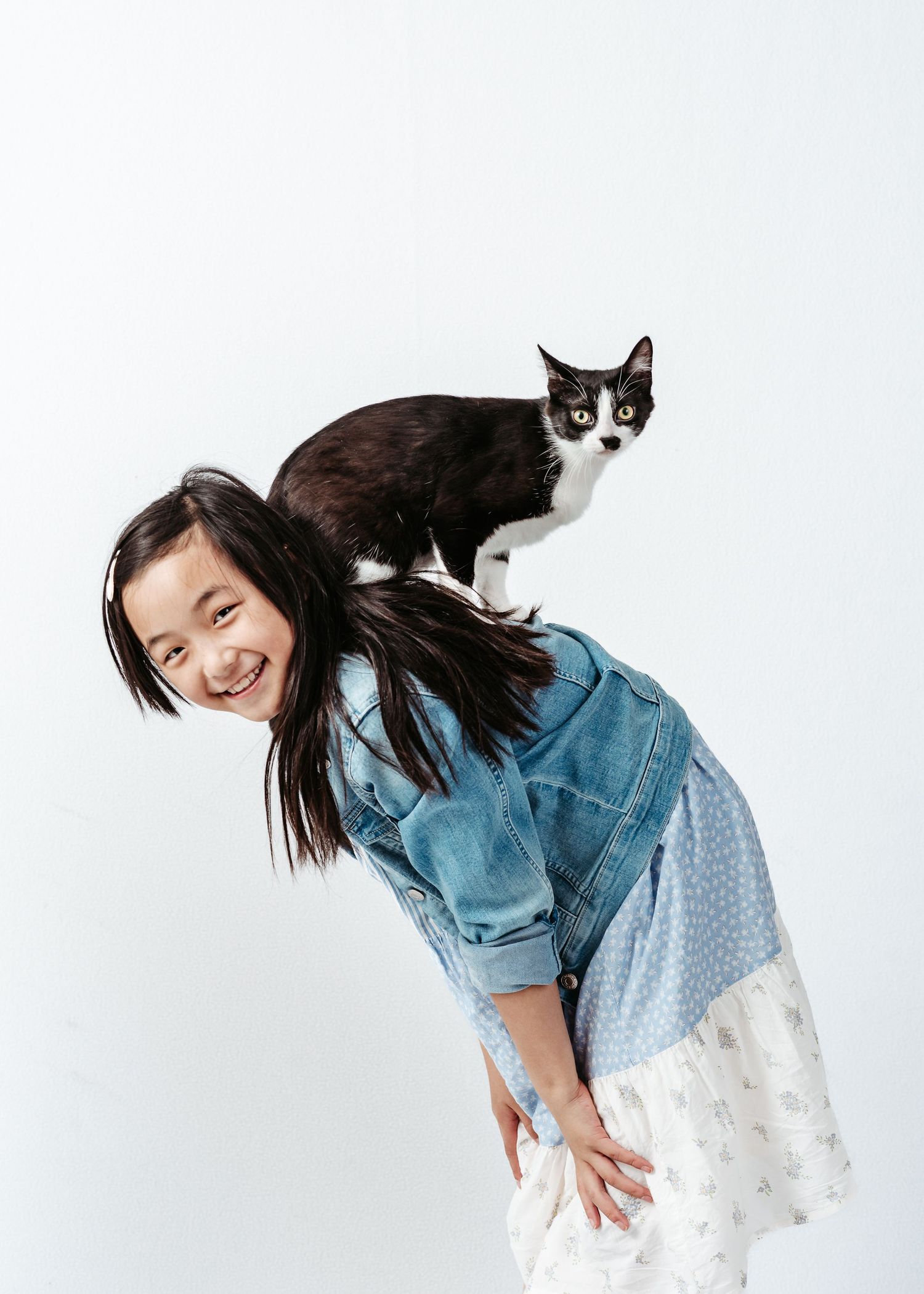 A sequence of four photos shows a playful interaction between someone in denim and their black and white cat.