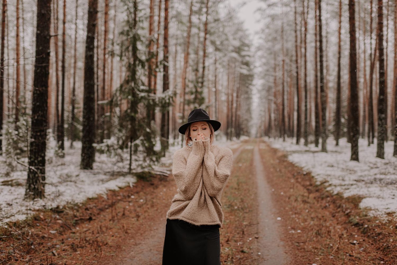 Forest path stretches into the distance between tall pine trees dusted with snow.
