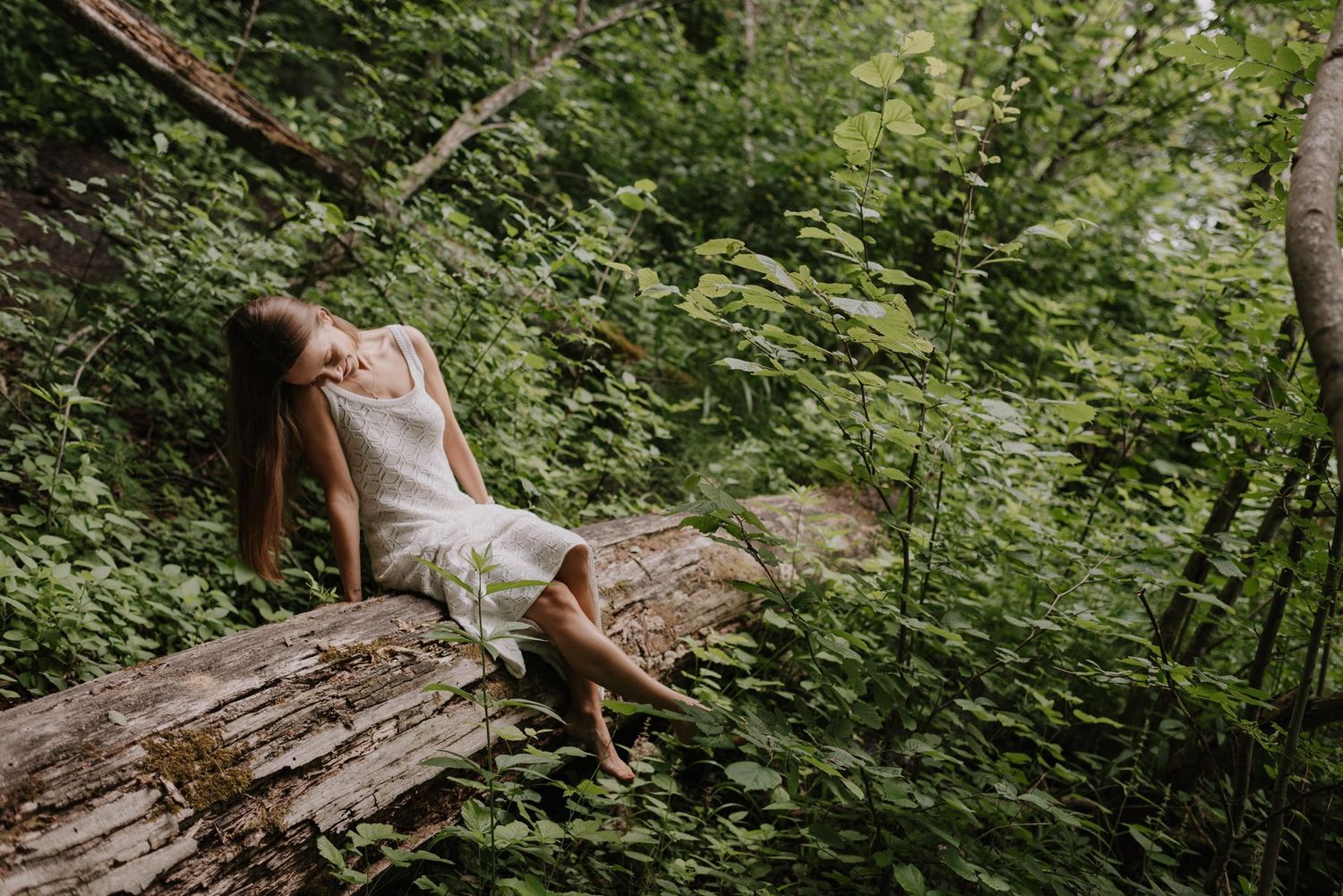 Ethereal forest photography with soft natural lighting filtering through dense green foliage.