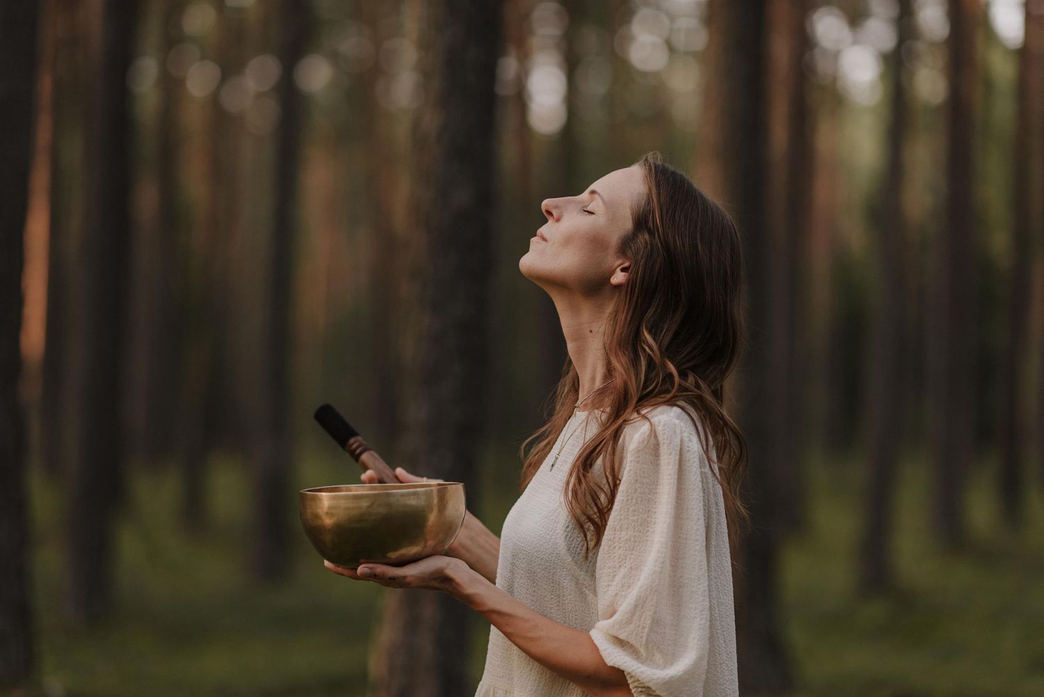 Peaceful forest scene with singing bowl meditation among tall pine trees.