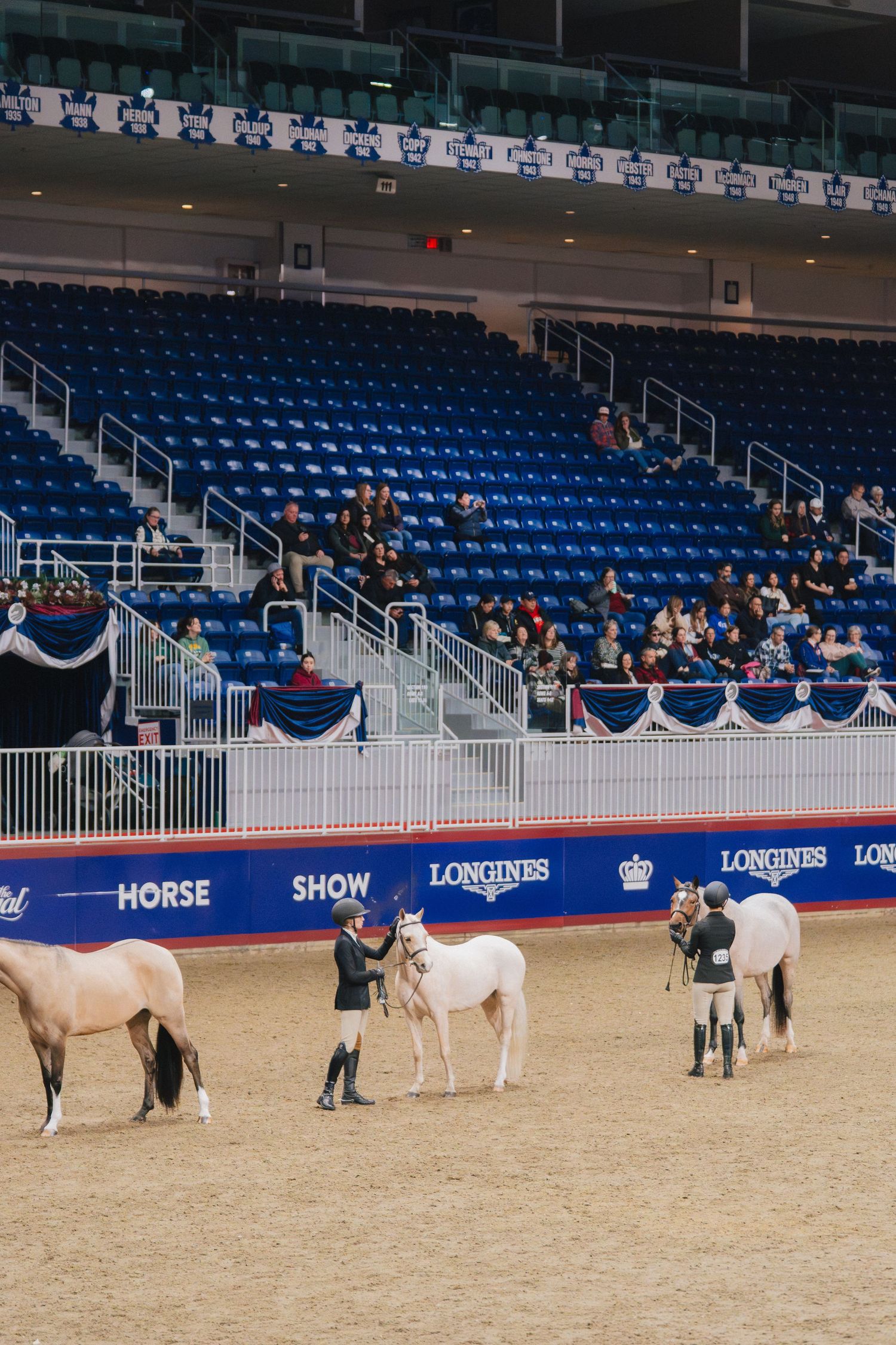 Several white horses and handlers line up in an indoor arena during a Longines horse show competition.