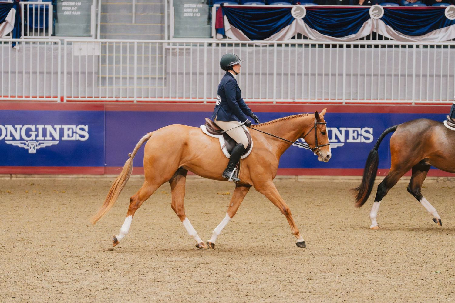 Several horses and riders perform in a show arena with red and blue decorative bunting visible in the background.