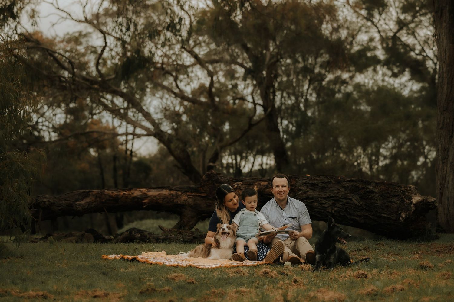 A couple shares an intimate moment on a cozy blanket during a romantic outdoor picnic at sunset.