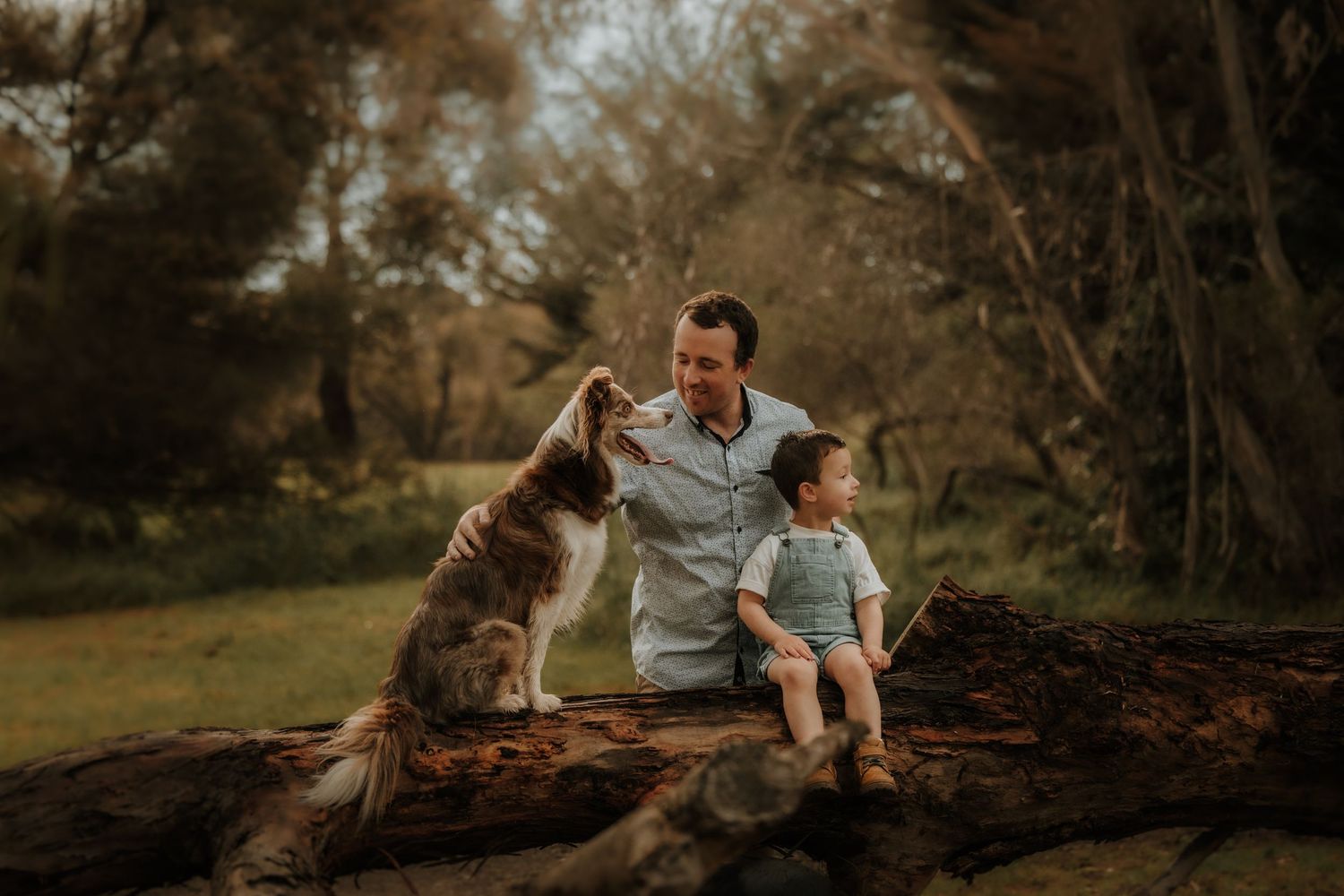 A series of warm-toned outdoor family photos showing people sitting and playing on fallen logs in a natural setting.