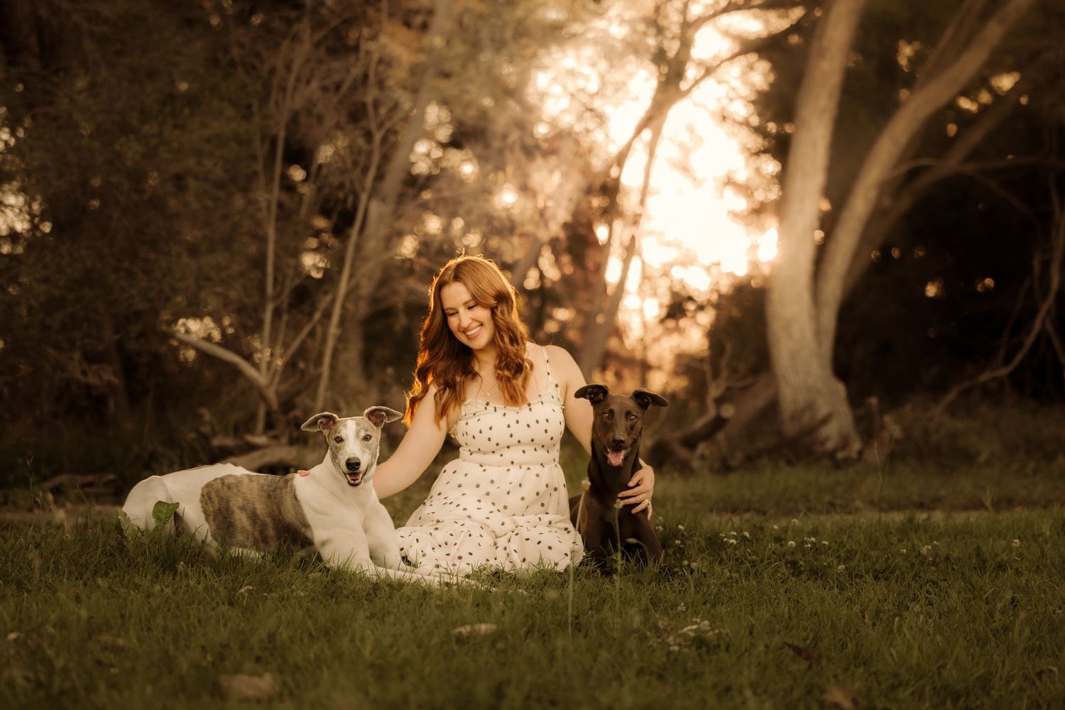 Woman in floral dress sitting on grass with two greyhound dogs in golden sunset light among trees.