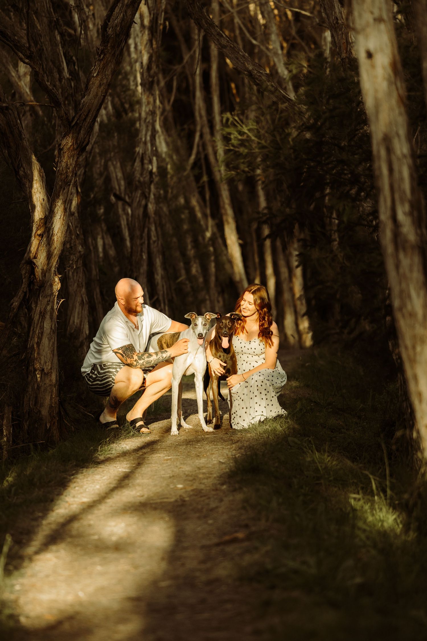 Couple crouching with their greyhound dog on a sunlit forest path surrounded by tall trees.