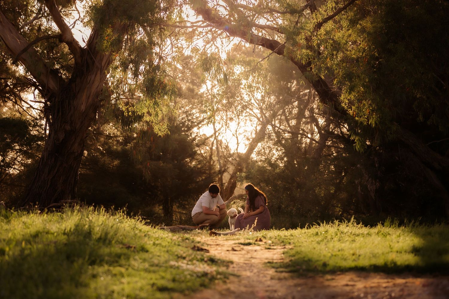 Family sitting together in a sunlit forest clearing surrounded by tall trees with golden light filtering through the canopy.