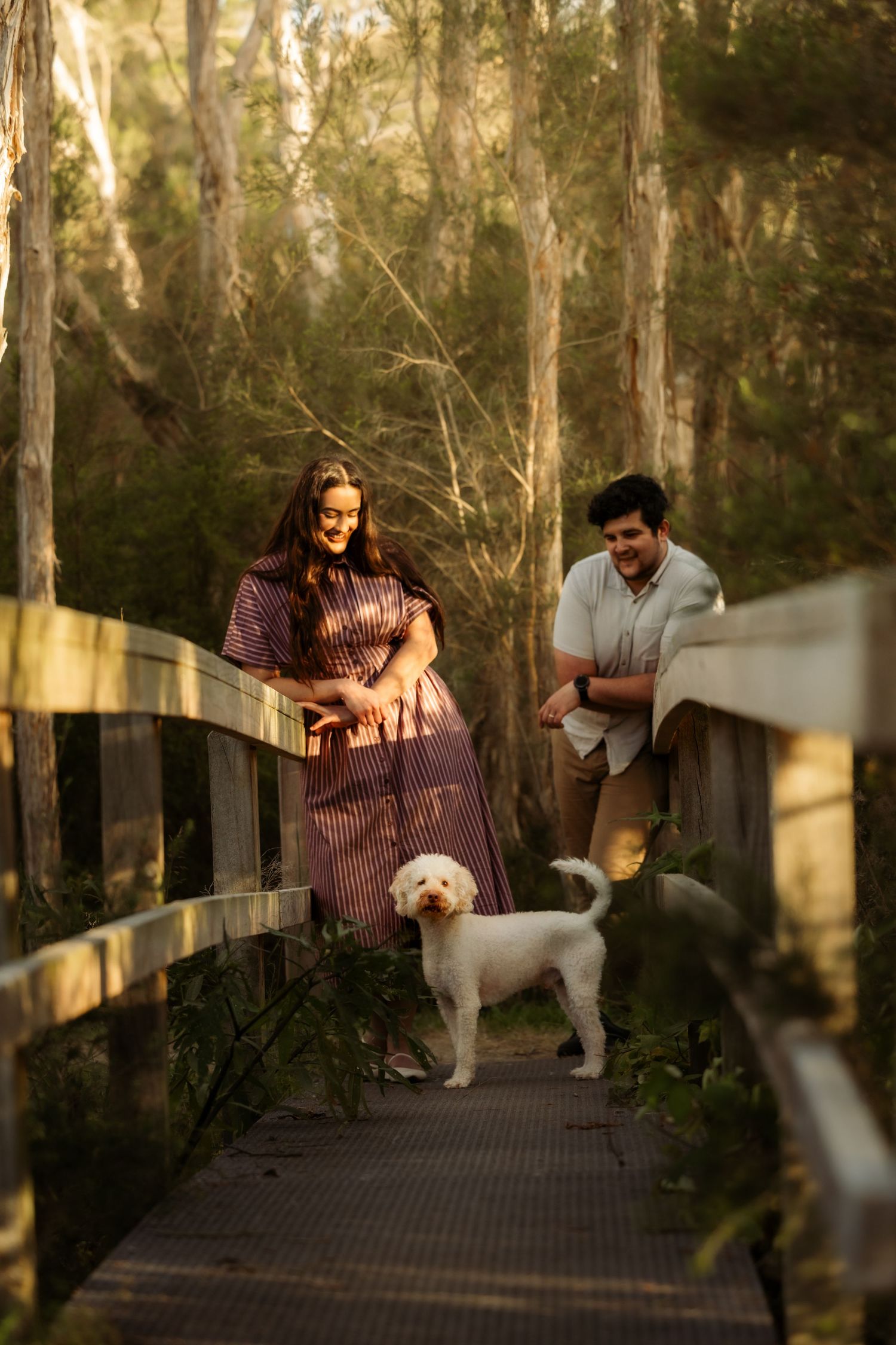 Couple with white dog on wooden bridge in forest, warm golden light filtering through tall eucalyptus trees.