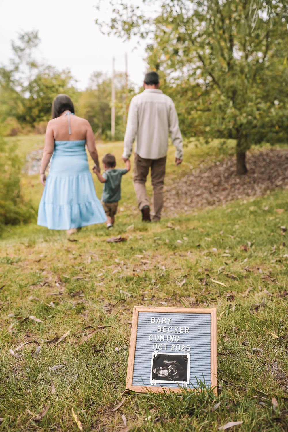 Letter board with ultrasound photo sits on grassy hill during outdoor pregnancy announcement photoshoot. Leesburg, Virginia