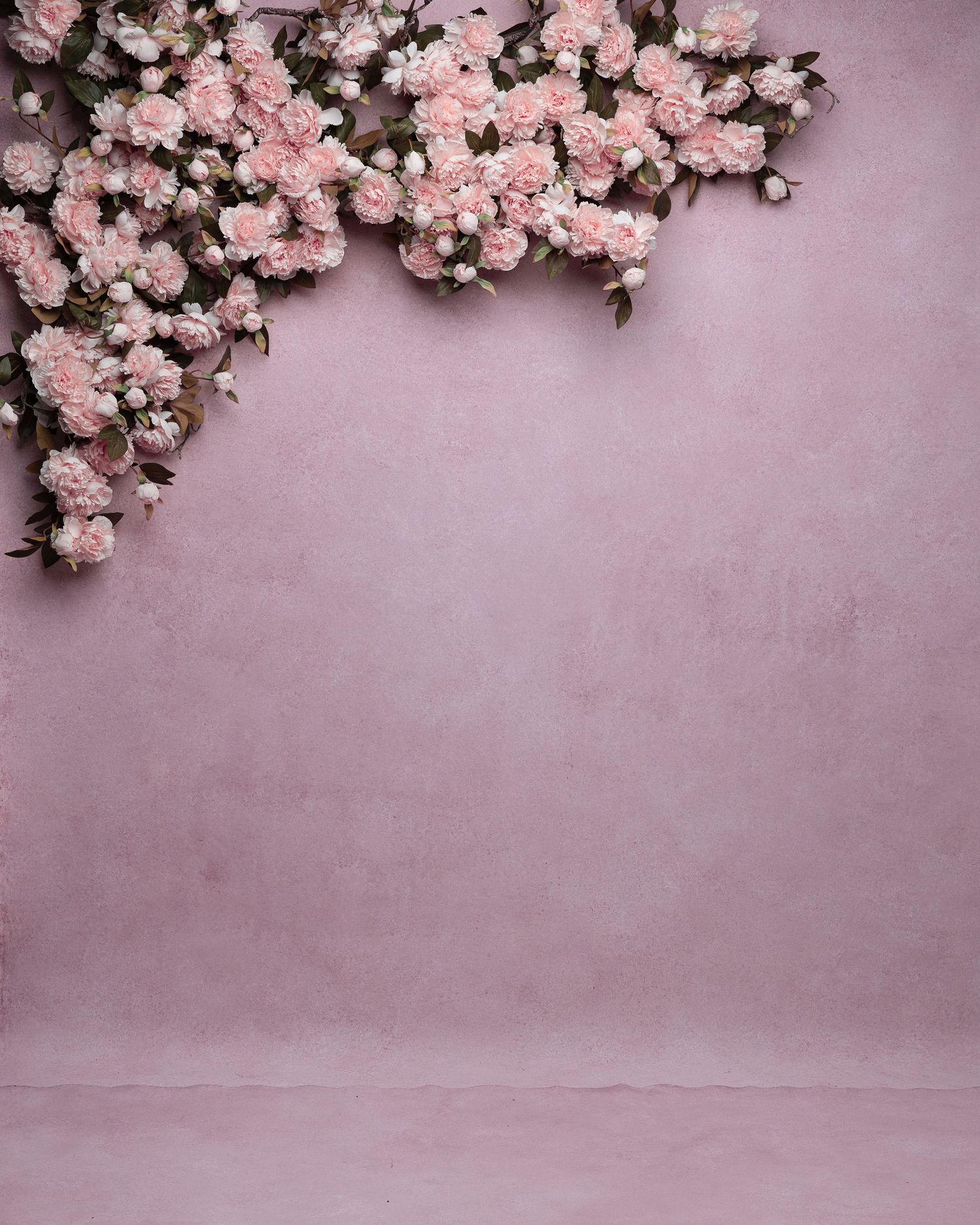 Beautiful pink roses arranged against a textured lavender background creating an elegant floral border composition.