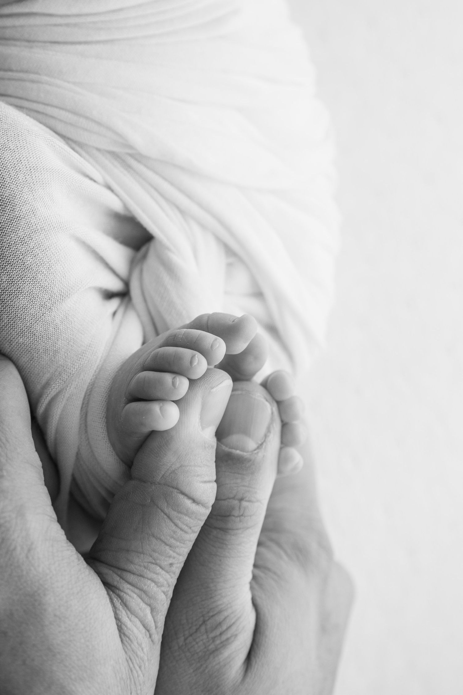 Hendersonville Newborn Photography studio serving the middle Tennessee area