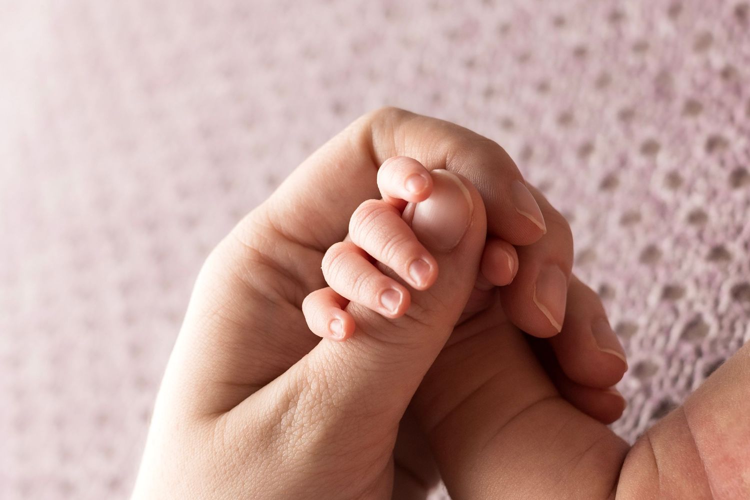 Nashville Newborn Photographer
