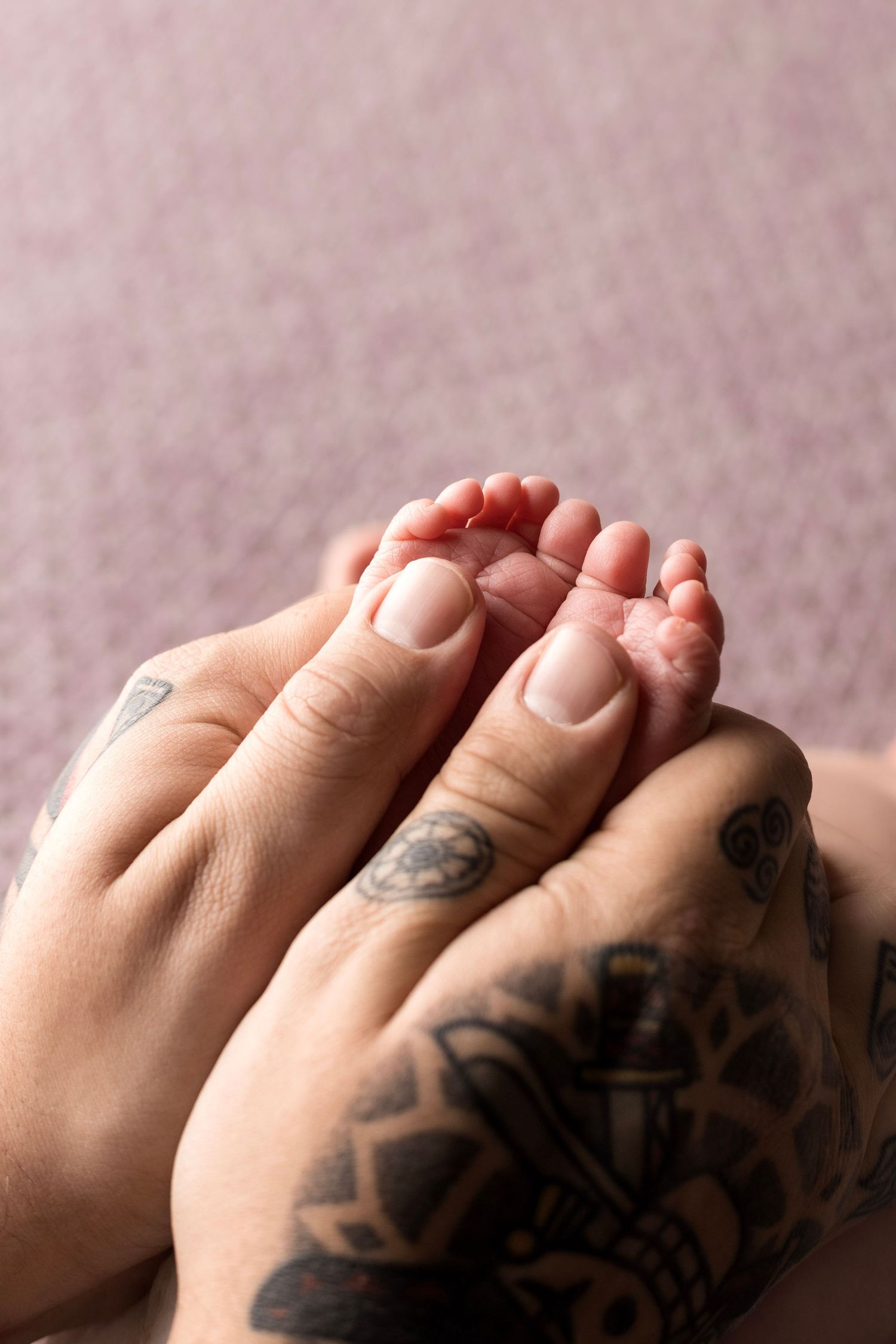 Nashville Newborn Photographer