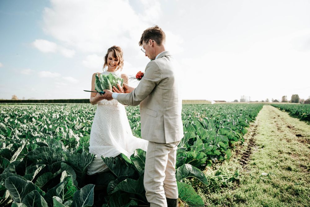 Wedding couple stands together in a lush green cabbage field on a sunny day with bright blue skies.