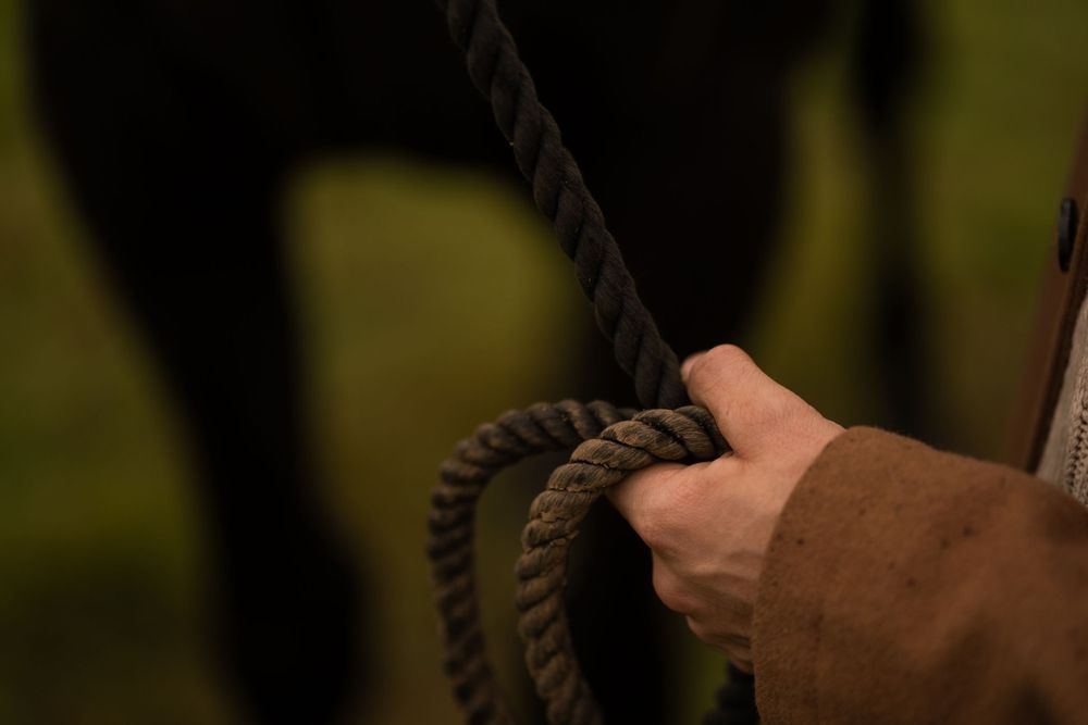 Close-up shot of hands holding horse reins against a blurred natural background.