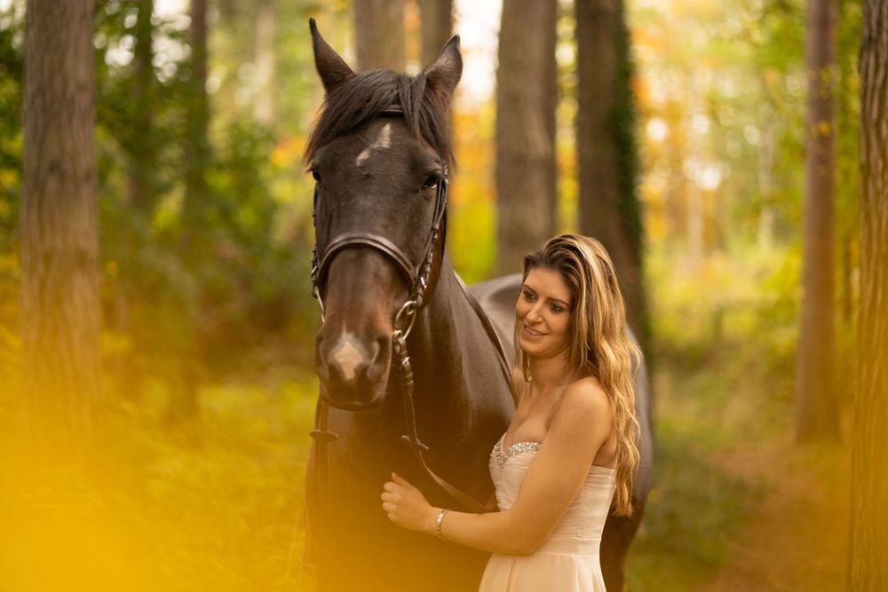 A sunlit portrait with a dark horse and rider in a dreamy forest setting.