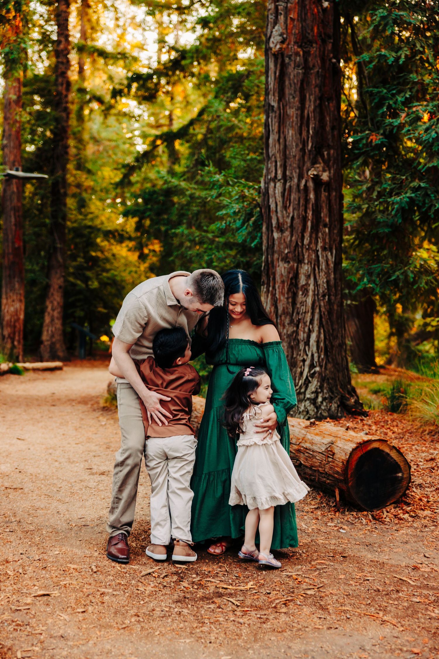 A family in coordinated outfits shares tender moments together on a sunlit forest path among tall redwood trees.