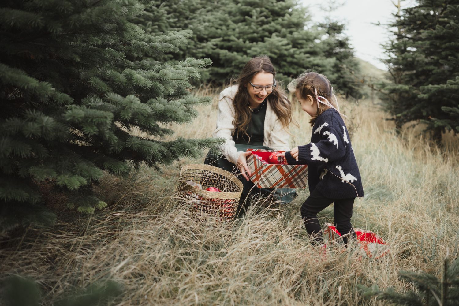 Christmas Mini Photoshoot
