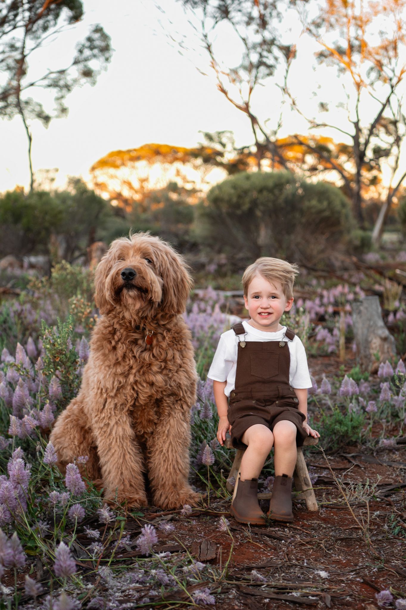 Children stroll along a rustic path at sunset during a golden hour outdoor family photo session.