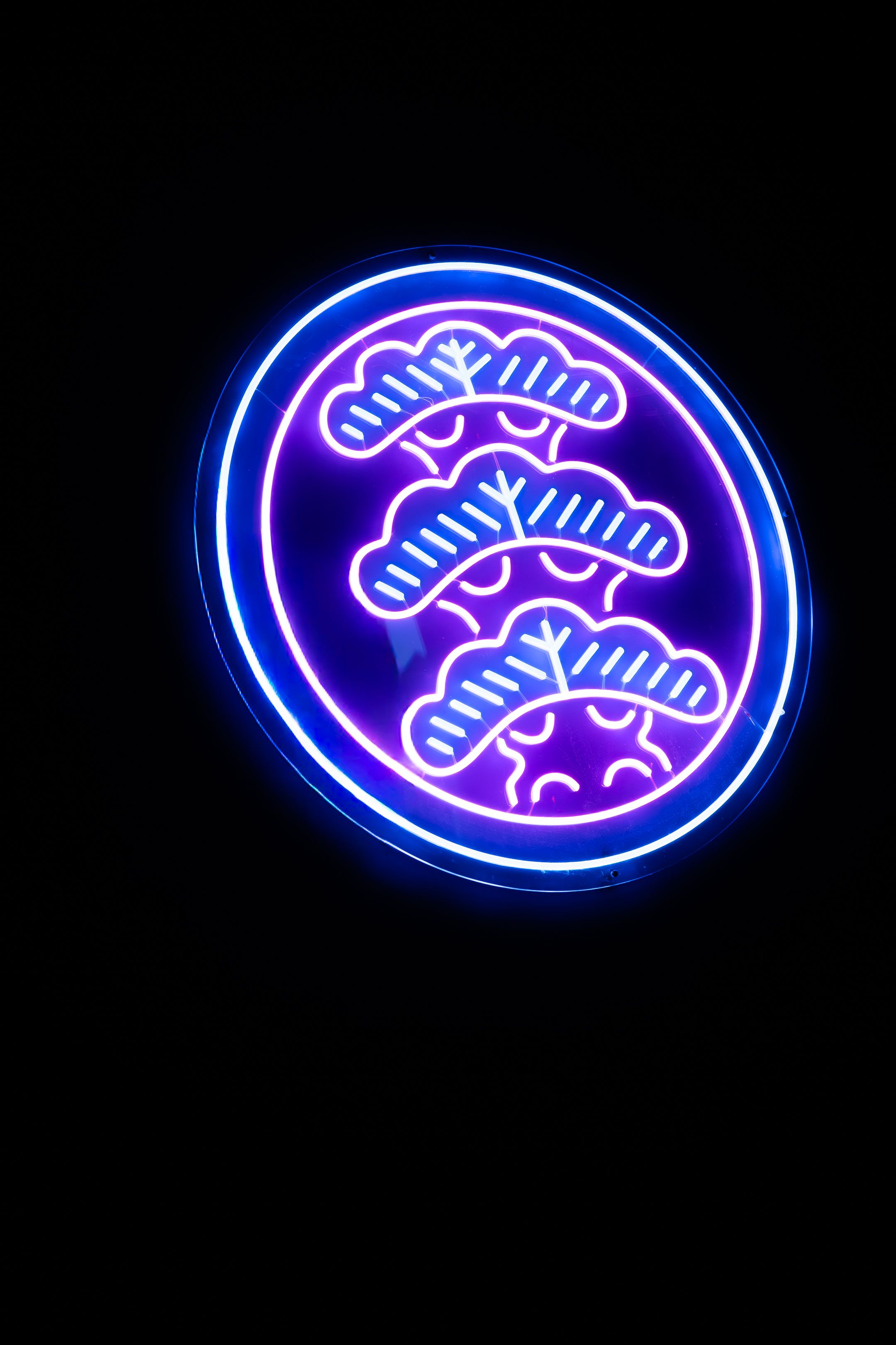 Blue and pink neon sign displaying a stylized dragon or serpent design against a dark background.