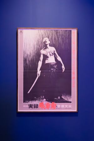 Black and white artistic photographs displayed in frames against a dark blue wall.