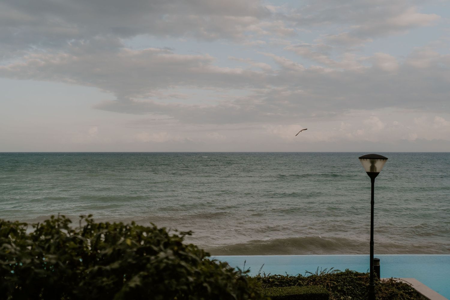 Scenic ocean view with cloudy skies and palm trees at a beachfront wedding venue.