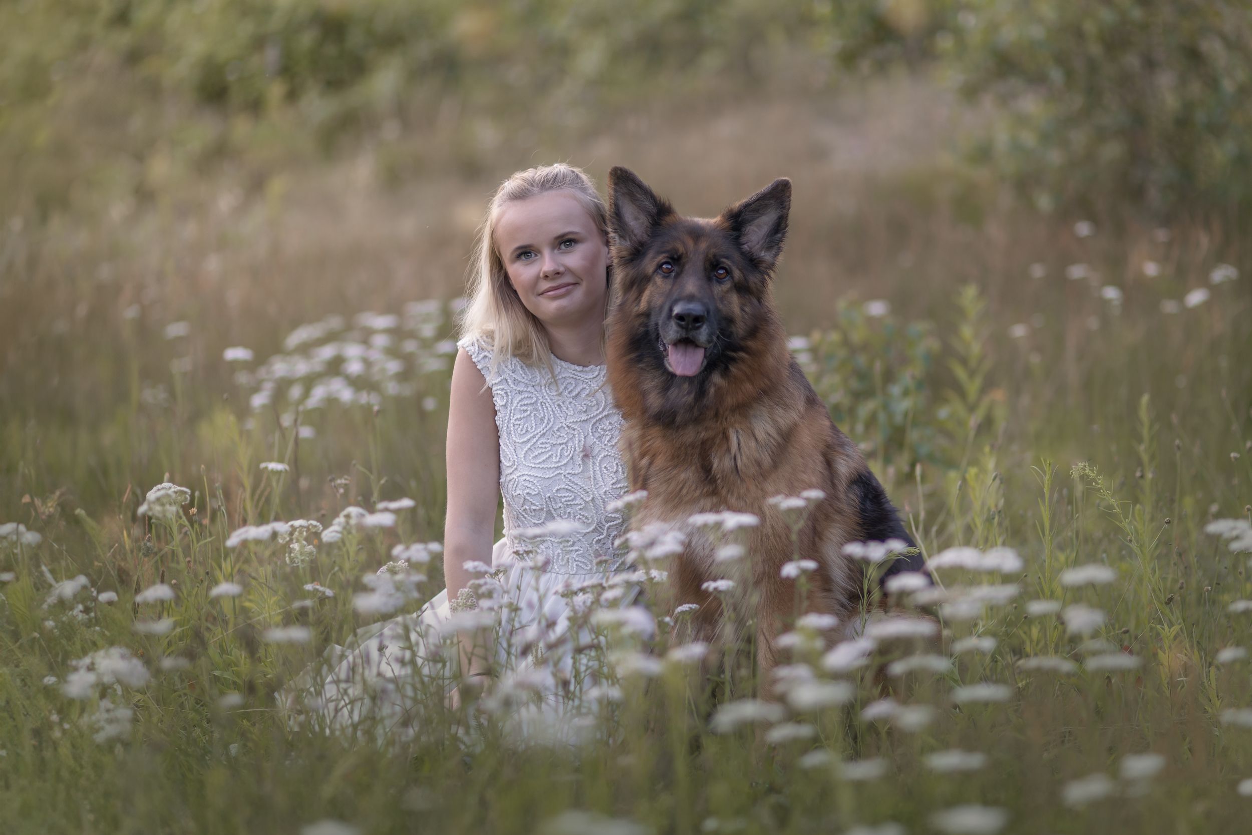 En tonårstjej med sin schäferhund. De sitter på en äng med vita sommarblommor.
