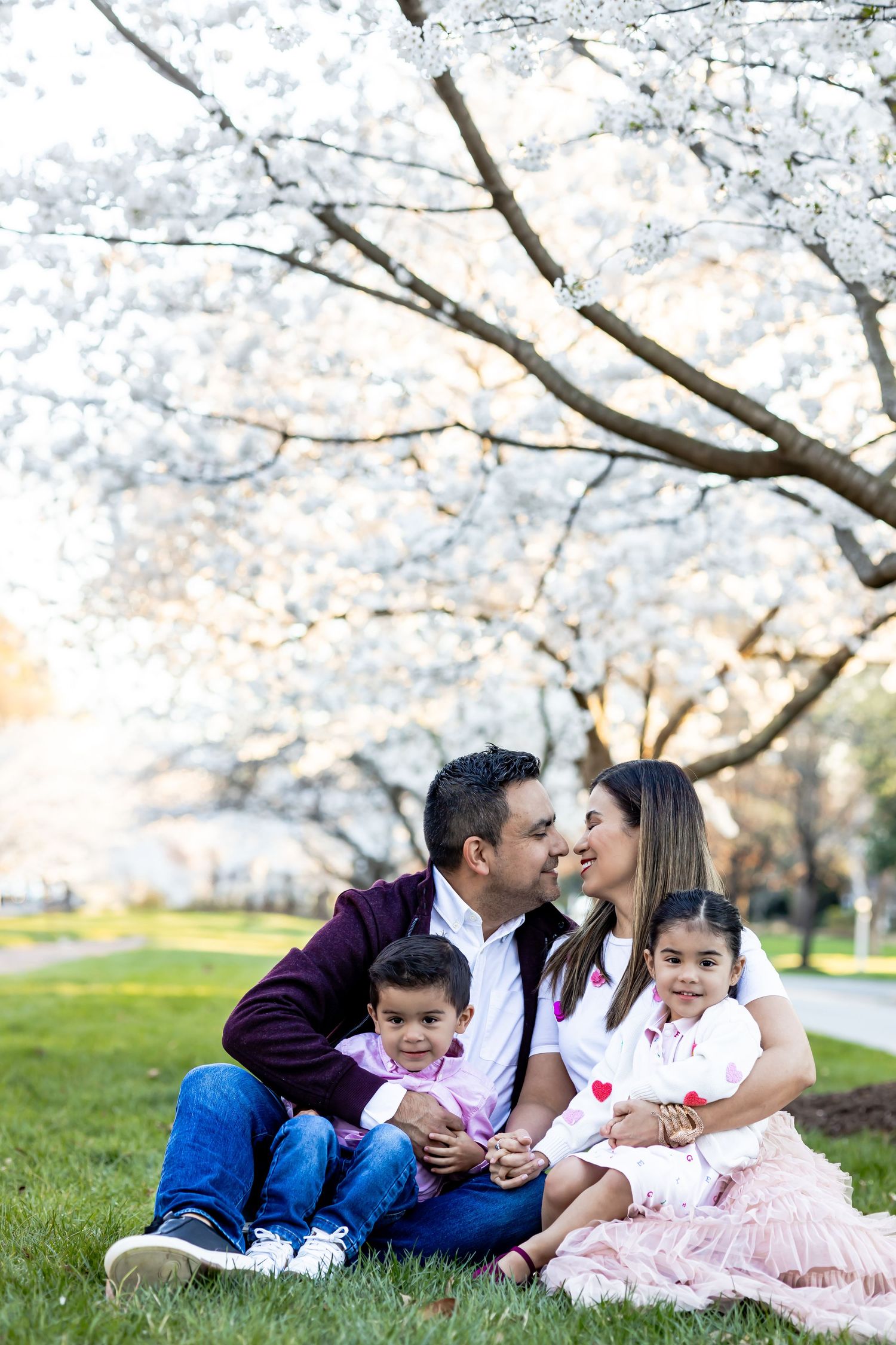 Family enjoying springtime together while sitting on grass under blooming cherry blossom trees in a park in richmond va