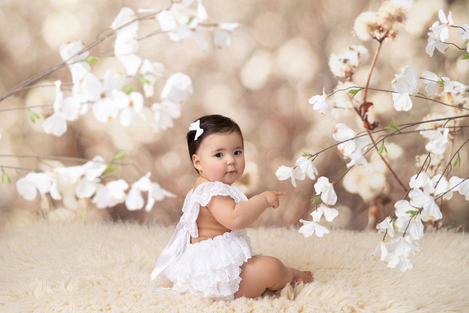 charlotte nc baby photographer