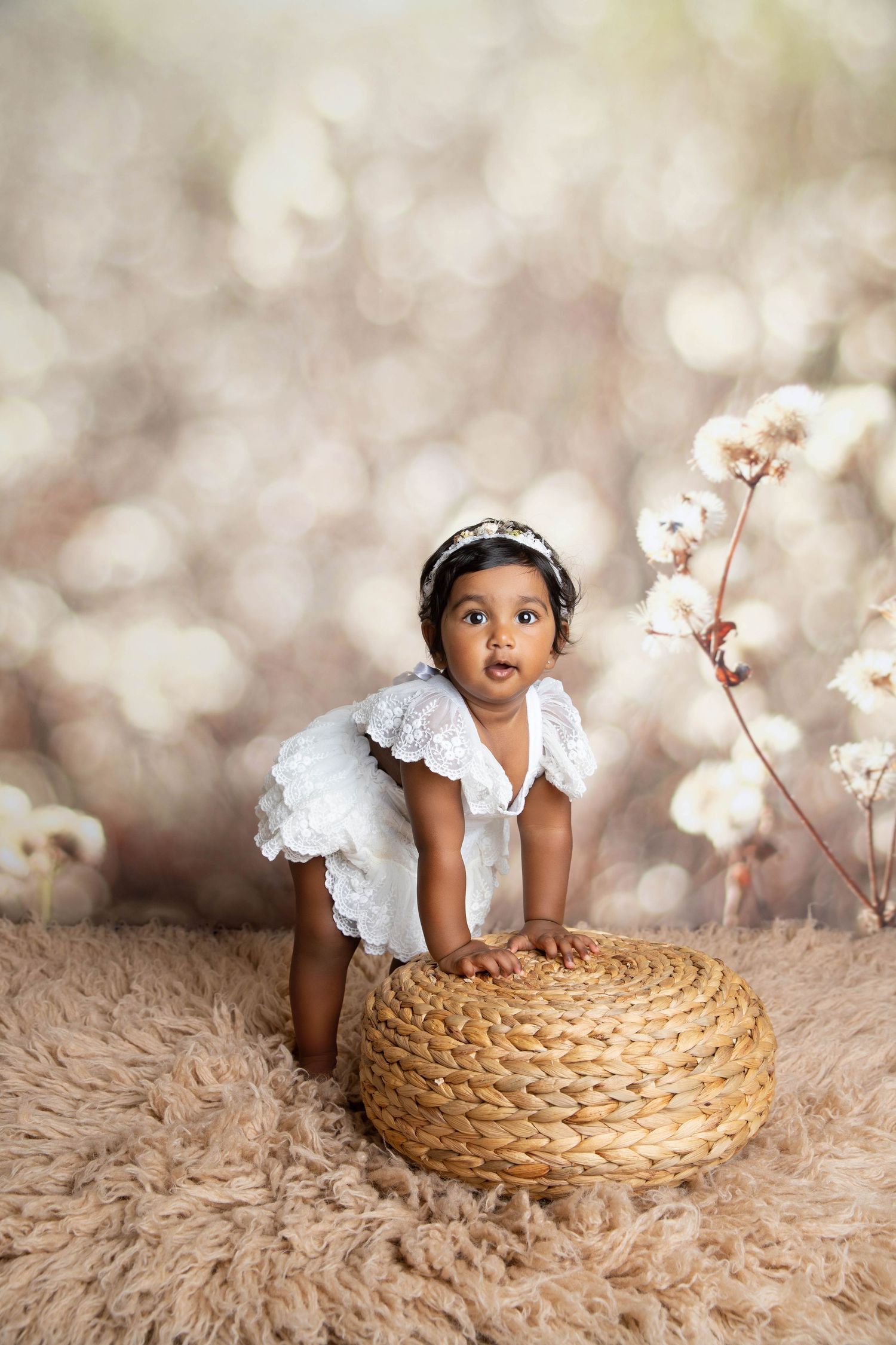 charlotte nc baby photographer