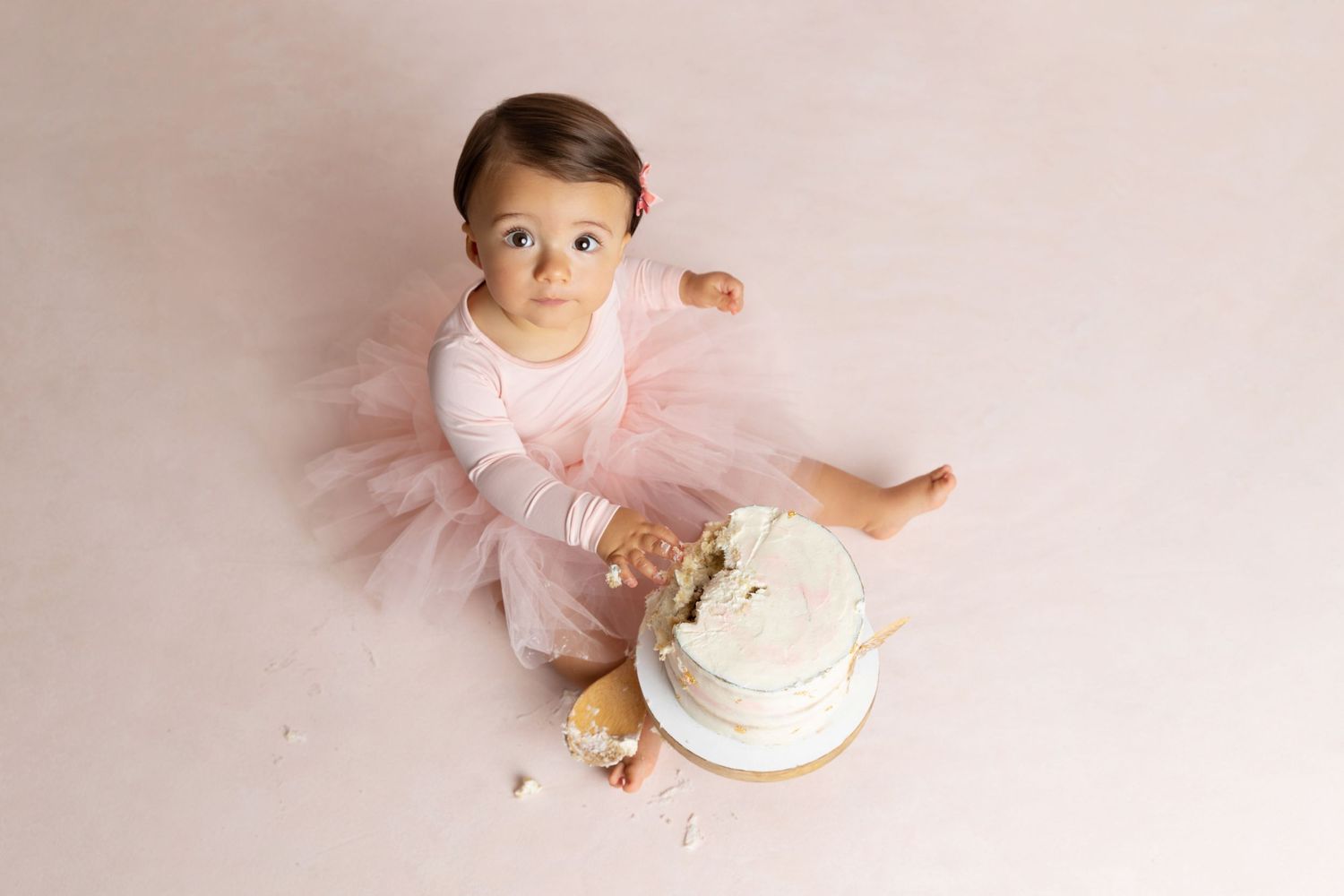 charlotte nc cake smash photographer