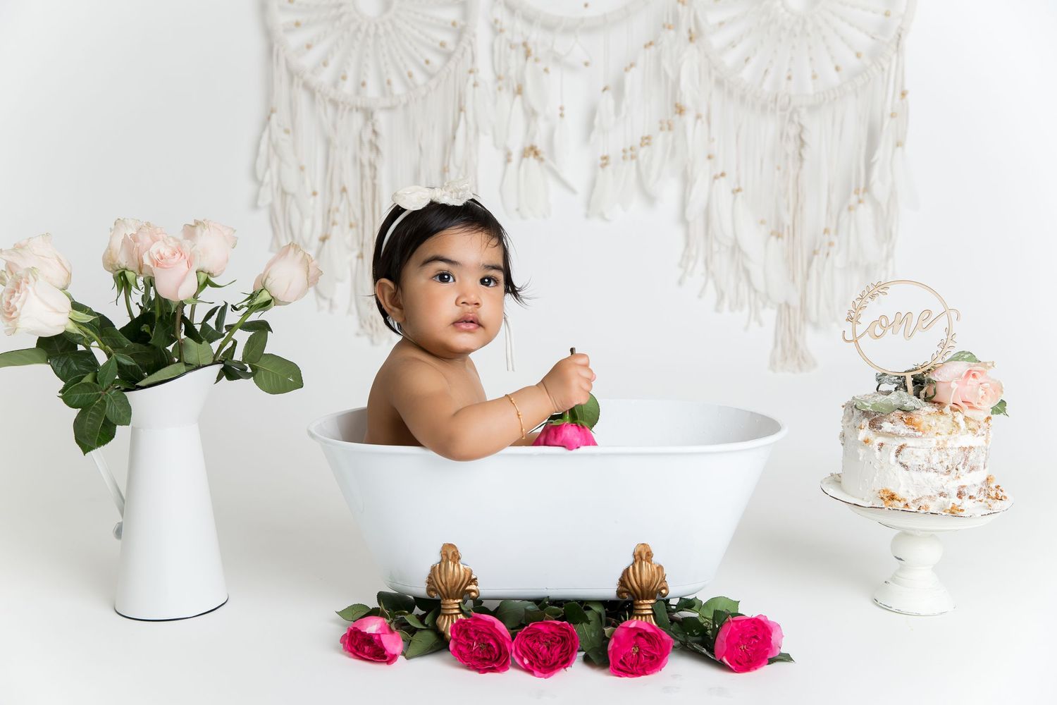 charlotte nc cake smash photographer