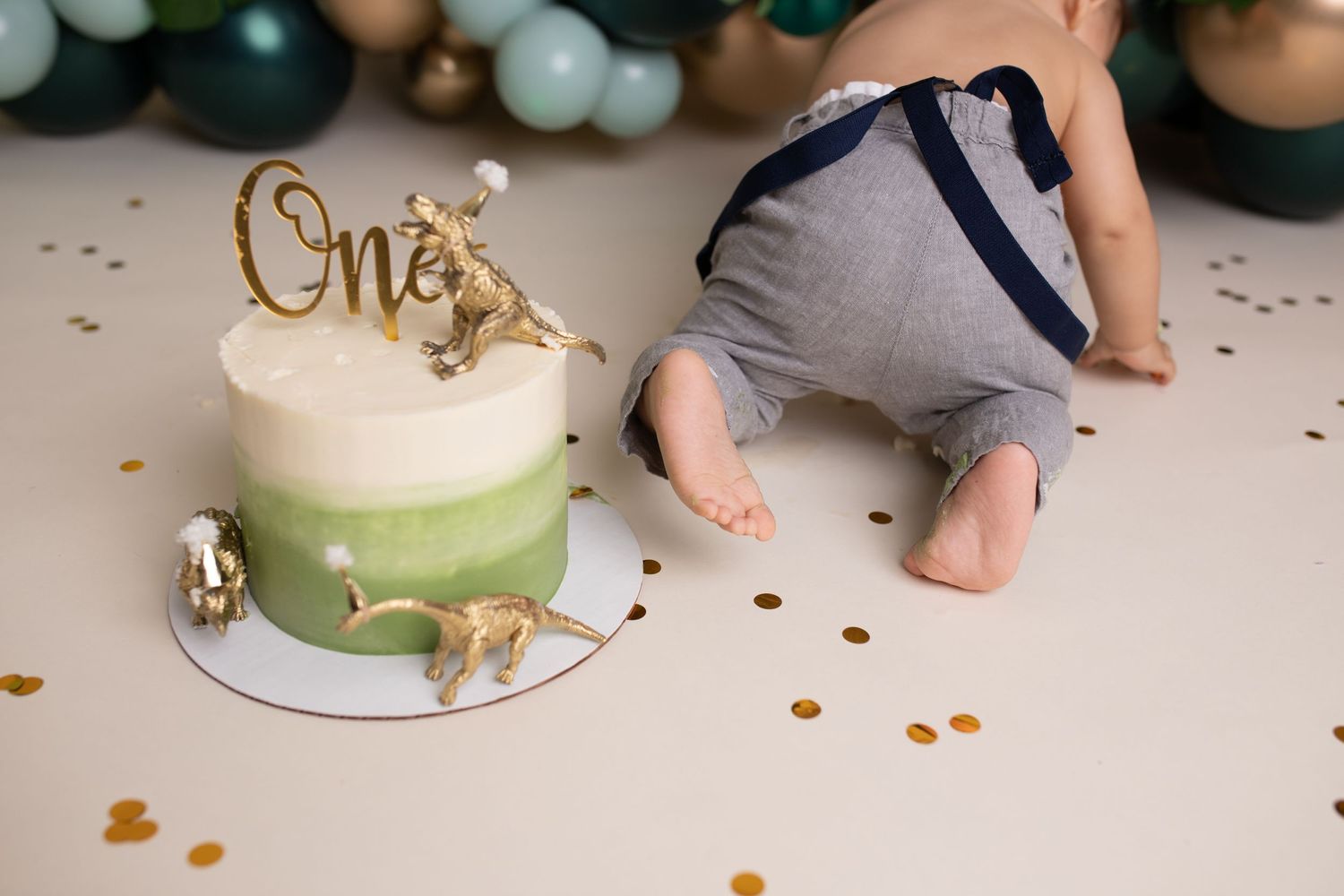 Smash cake photoshoot charlotte NC