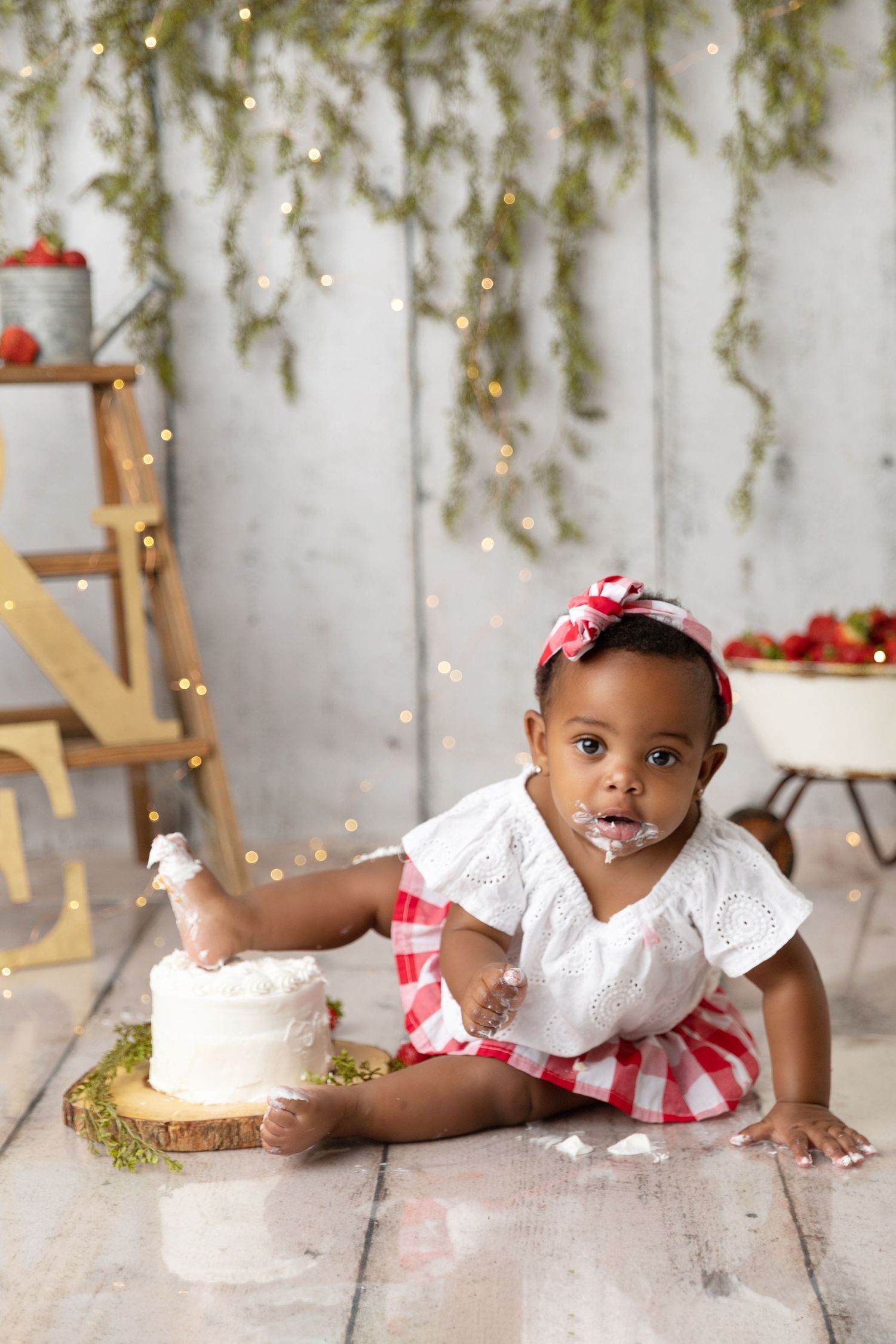 First Birthday photoshoot charlotte nc