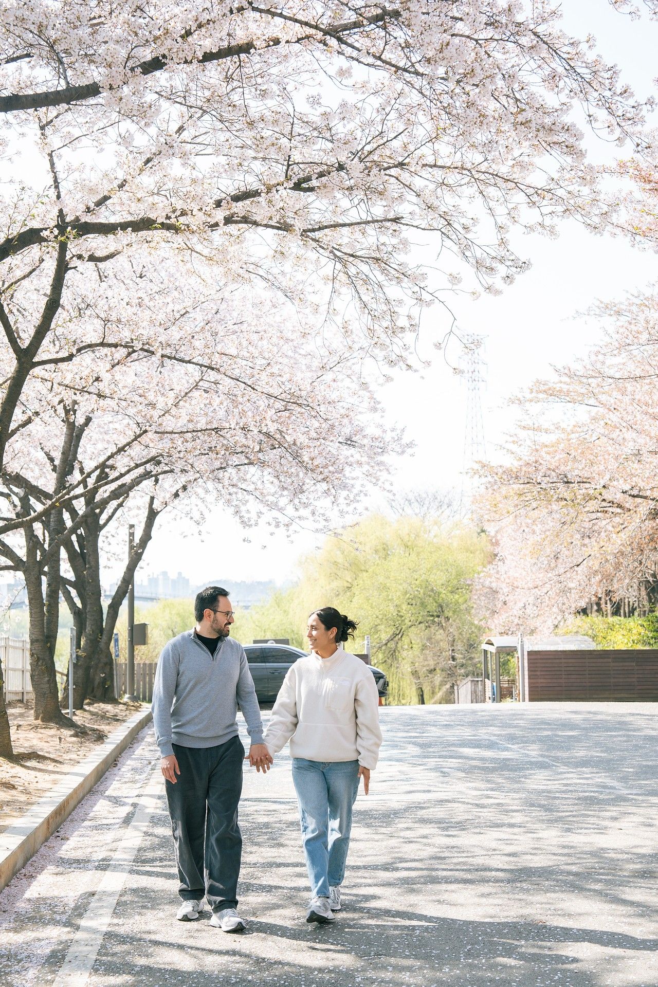 Couple holding hands walking under blooming cherry blossom trees on a sunny spring day.