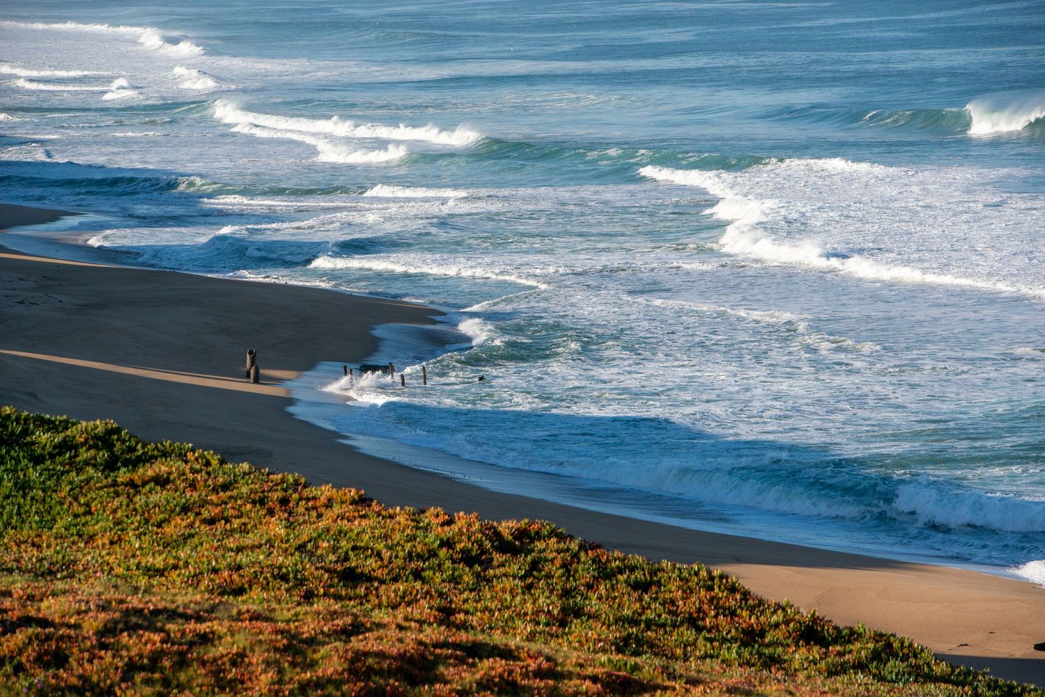 Two people walking on a sandy beach with rolling ocean waves and green coastal vegetation in the foreground.