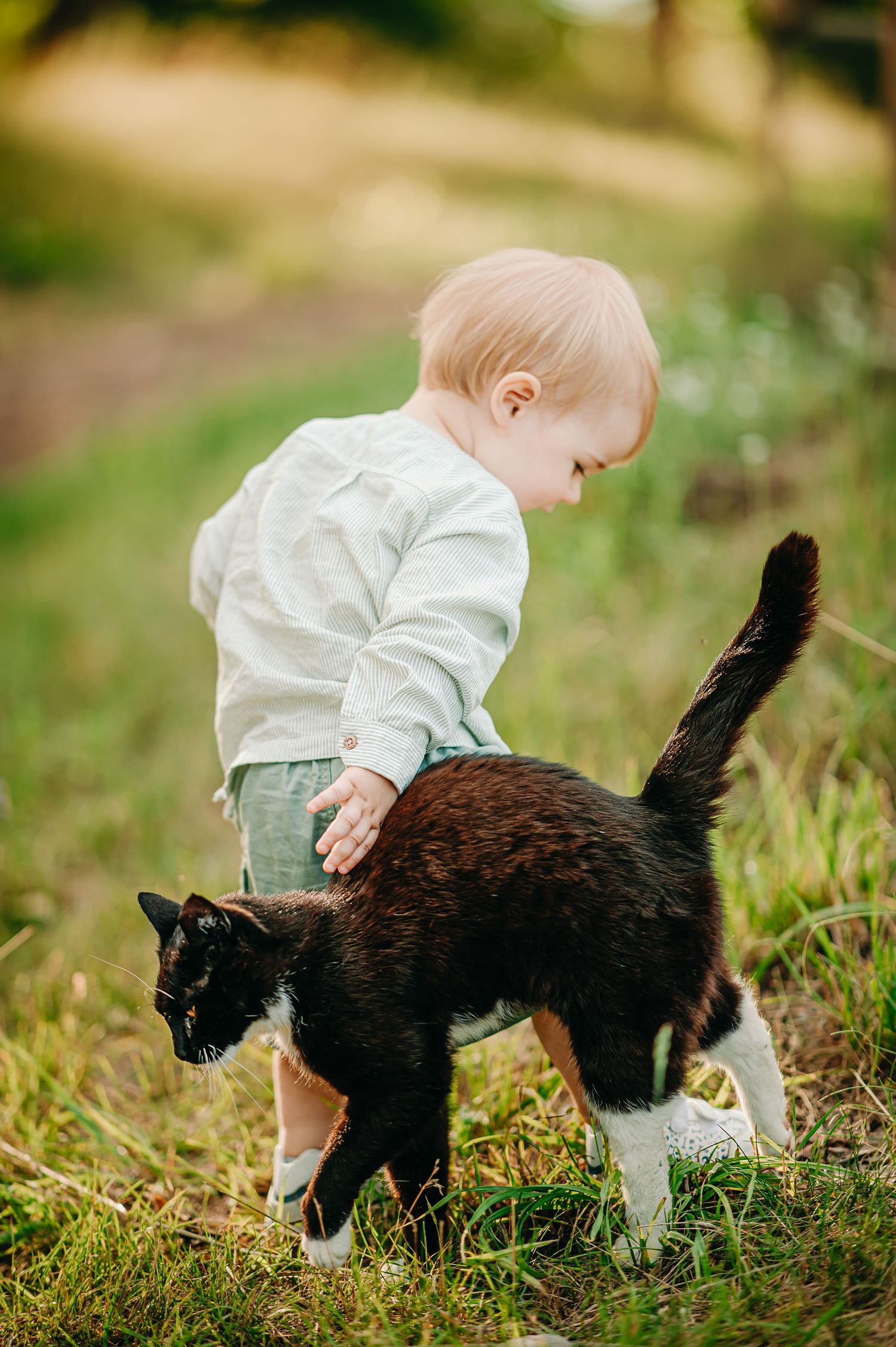 A toddler in a white shirt gently pets a black and white cat on green grass outdoors.