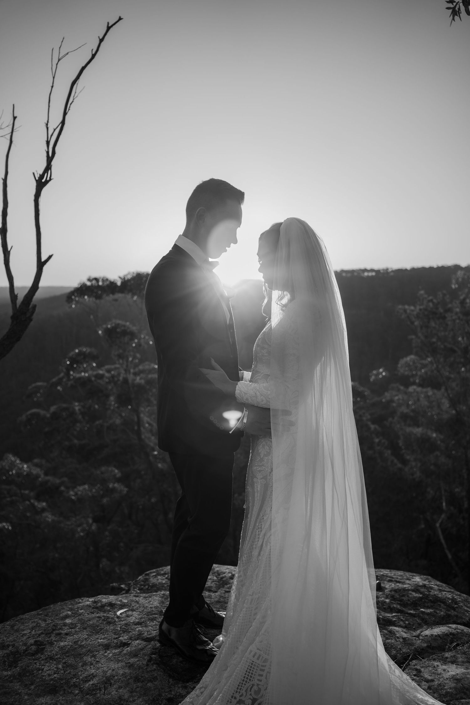 Black and white photo of a bride and groom standing on a rocky cliff at sunset, surrounded by trees.