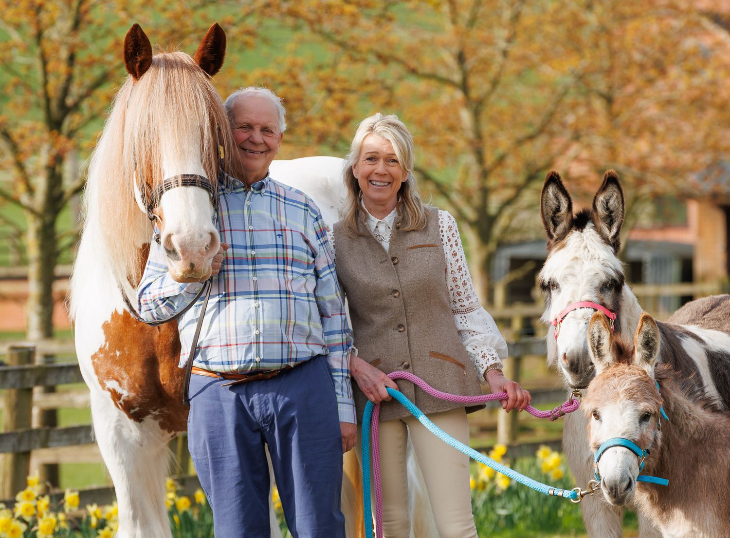 Smiling couple standing outdoors with a white horse and two donkeys on colorful lead ropes in autumn.