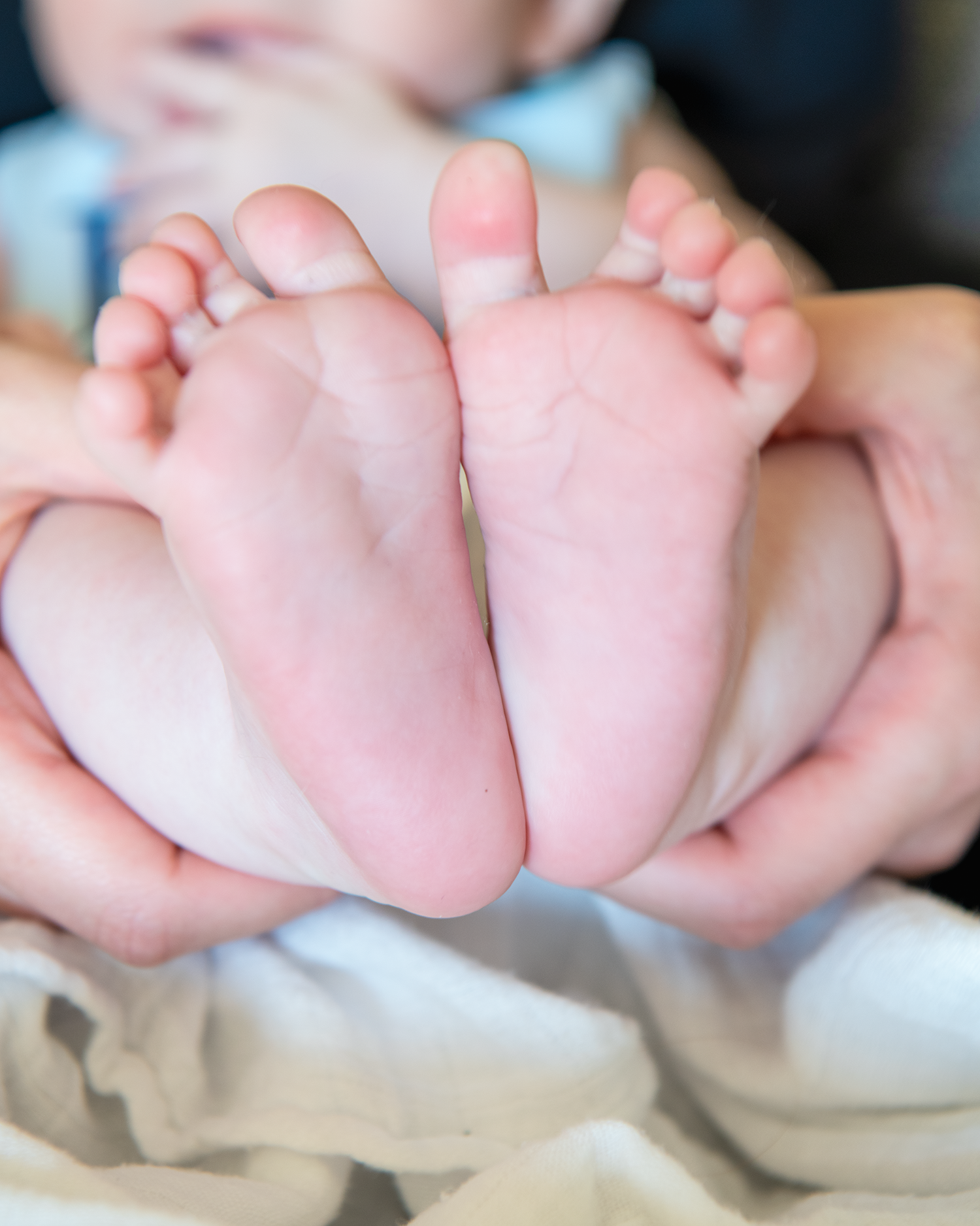 Close-up of tiny newborn baby feet gently cradled in an adult's hands.