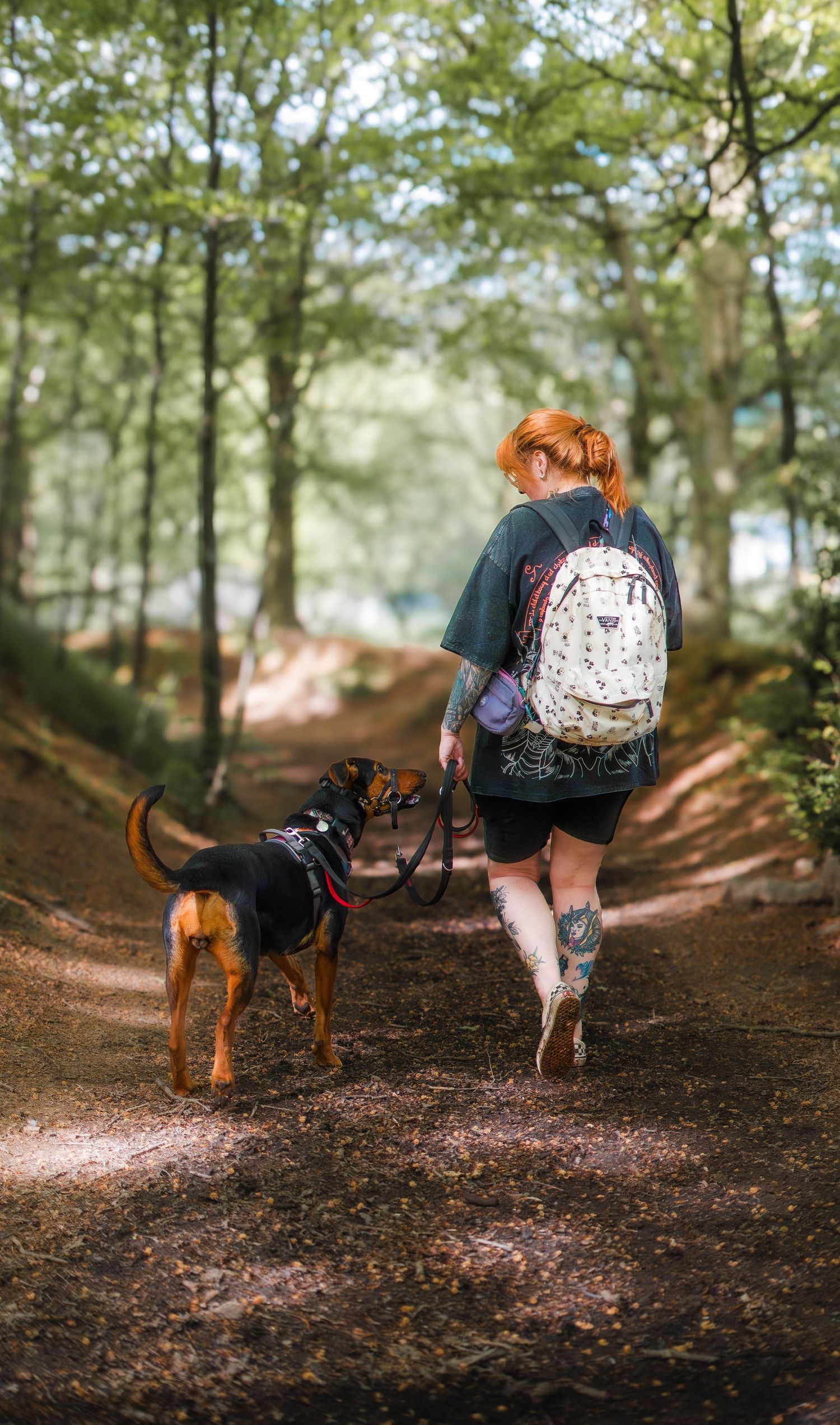 dog photographer huddersfield, west yorkshire. wired & wild photography - dog photoshoots near huddersfield, leeds, halifax, wakefield