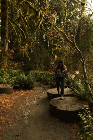 A hiker walks along a mossy forest path with circular stepping stones beneath towering moss-covered trees.