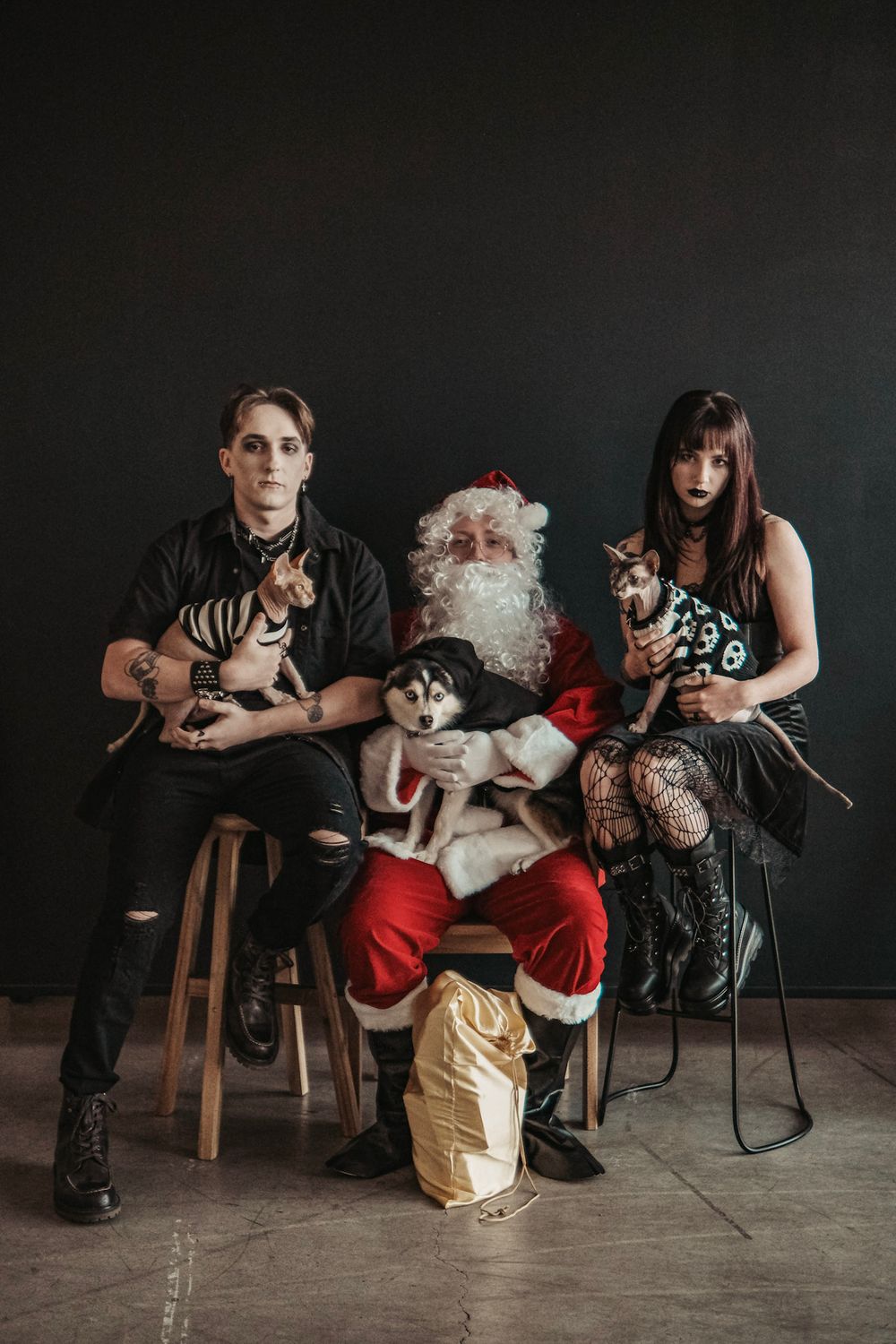 Alternative Christmas portrait with Santa seated between people in dark clothing holding small dogs against a black backdrop.