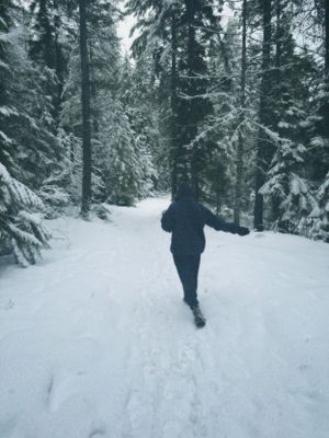 A person walks alone on a snow-covered forest path surrounded by towering evergreen trees covered in fresh snow.